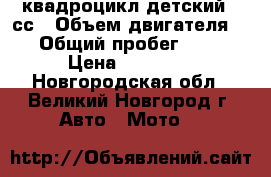 квадроцикл детский 50сс › Объем двигателя ­ 50 › Общий пробег ­ 1 000 › Цена ­ 30 000 - Новгородская обл., Великий Новгород г. Авто » Мото   